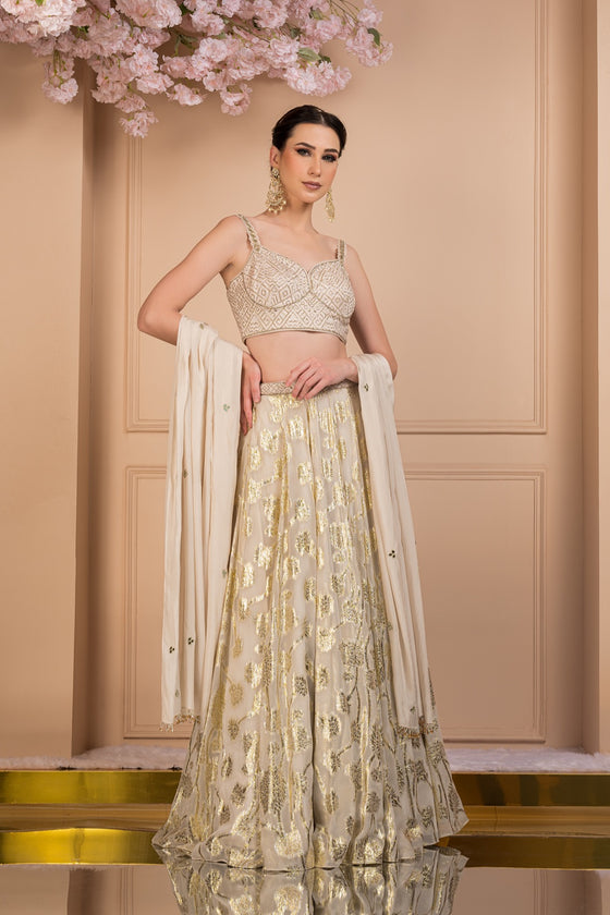 Divine Printed Shimmer Lehenga Set