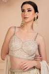 Divine Printed Shimmer Lehenga Set Frontview