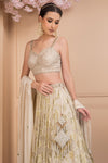 Divine Printed Shimmer Lehenga Set