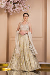 Divine Printed Shimmer Lehenga Set Frontview