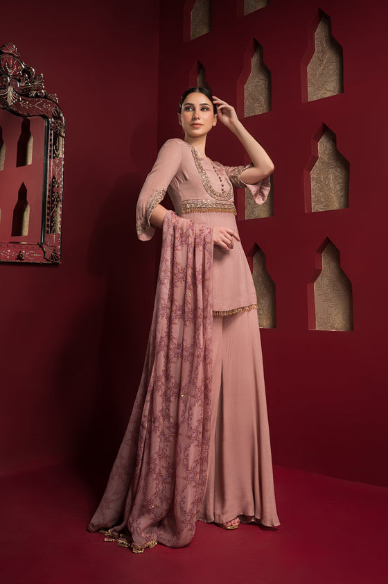 Yoke Embroidered Sharara Set Sideview