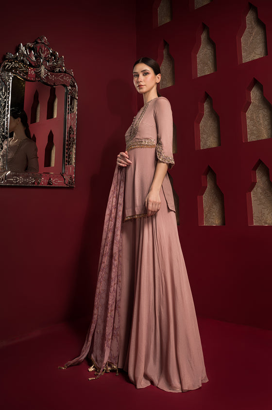 Yoke Embroidered Sharara Set Leftview