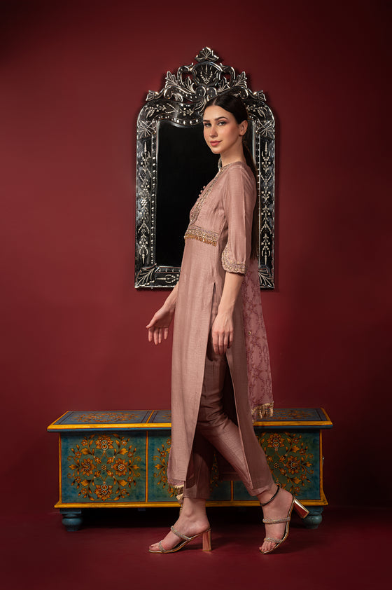 Yoke Embroidered Kurta Set Sideview