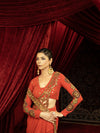 BURNT TERRACOTTA DRAPE SKIRT SET WITH EMBROIDERED CUTWORK PALLA & FULL SLEEVE BLOUSE