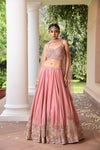 Onion pink Embroidered Lehenga Set