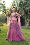 Women's Embroidered Organza Lehenga Set