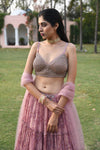 Embroidered Lehenga Set sideview