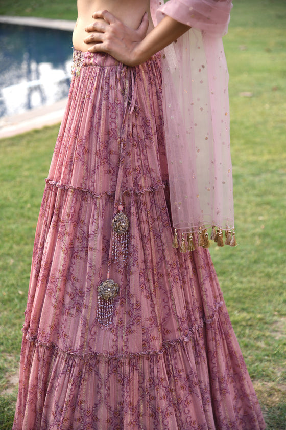 Embroidered Lehenga Set sideview