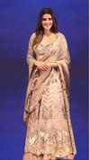 Lavender and Blush Pink Multicolour Lehenga Frontview