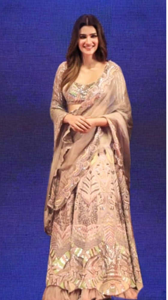 Lavender and Blush Pink Multicolour Lehenga Frontview
